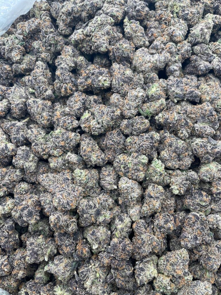 #PR50T 💦 Watermelon Sour Ooze 🍉