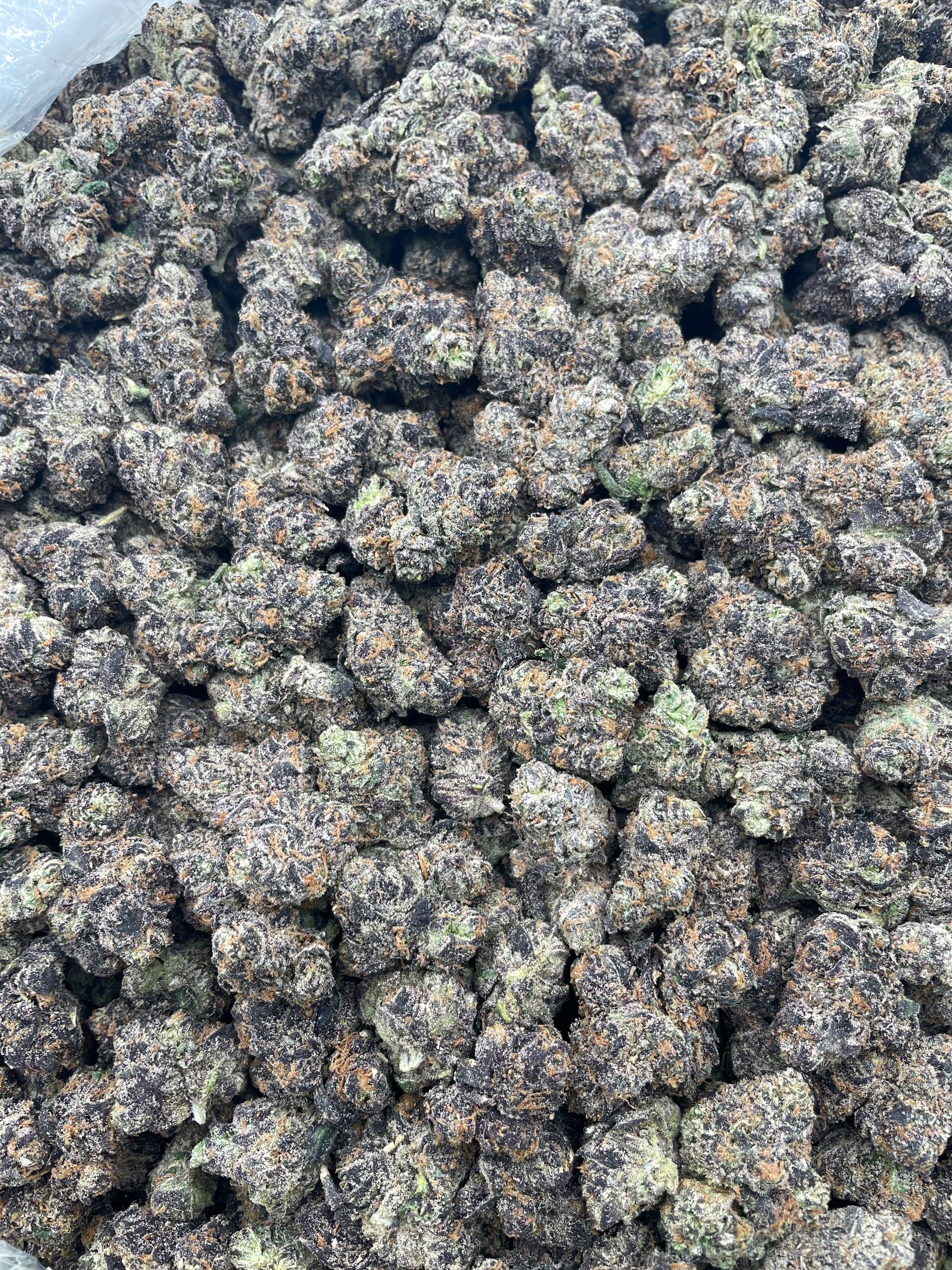 #PR50T 💦 Watermelon Sour Ooze 🍉