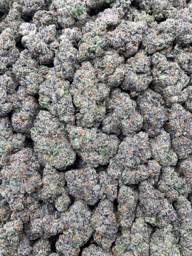 #PR52T 🍬 Purple Jawbreakers 🍇