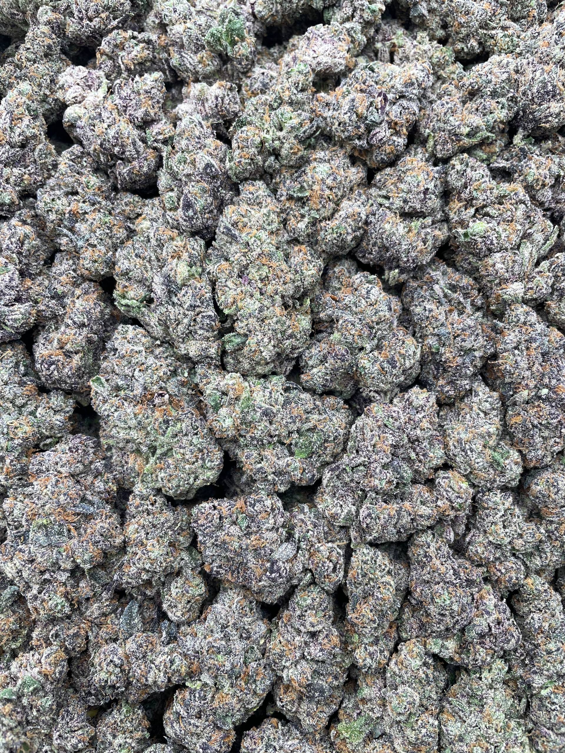 #PR52T 🍬 Purple Jawbreakers 🍇