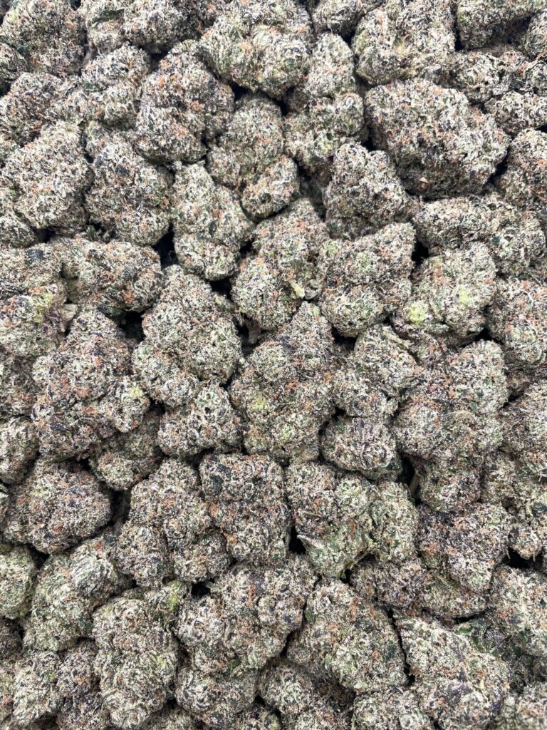 #PR53T 💥 Blue Razz Juicy Bursts 🫐