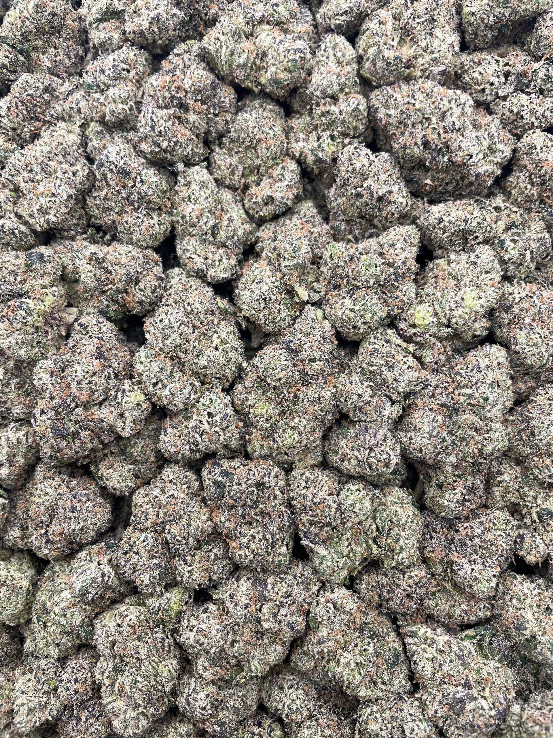 #PR53T 💥 Blue Razz Juicy Bursts 🫐