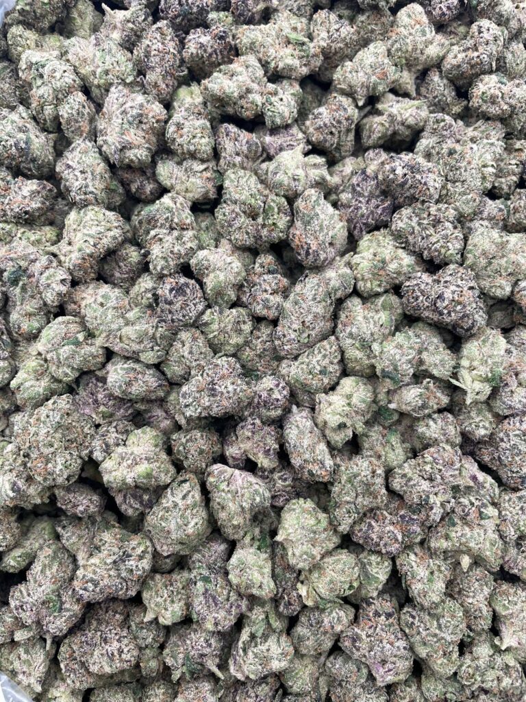 #PR54T 🥤 Wockhardt Mediums 😈