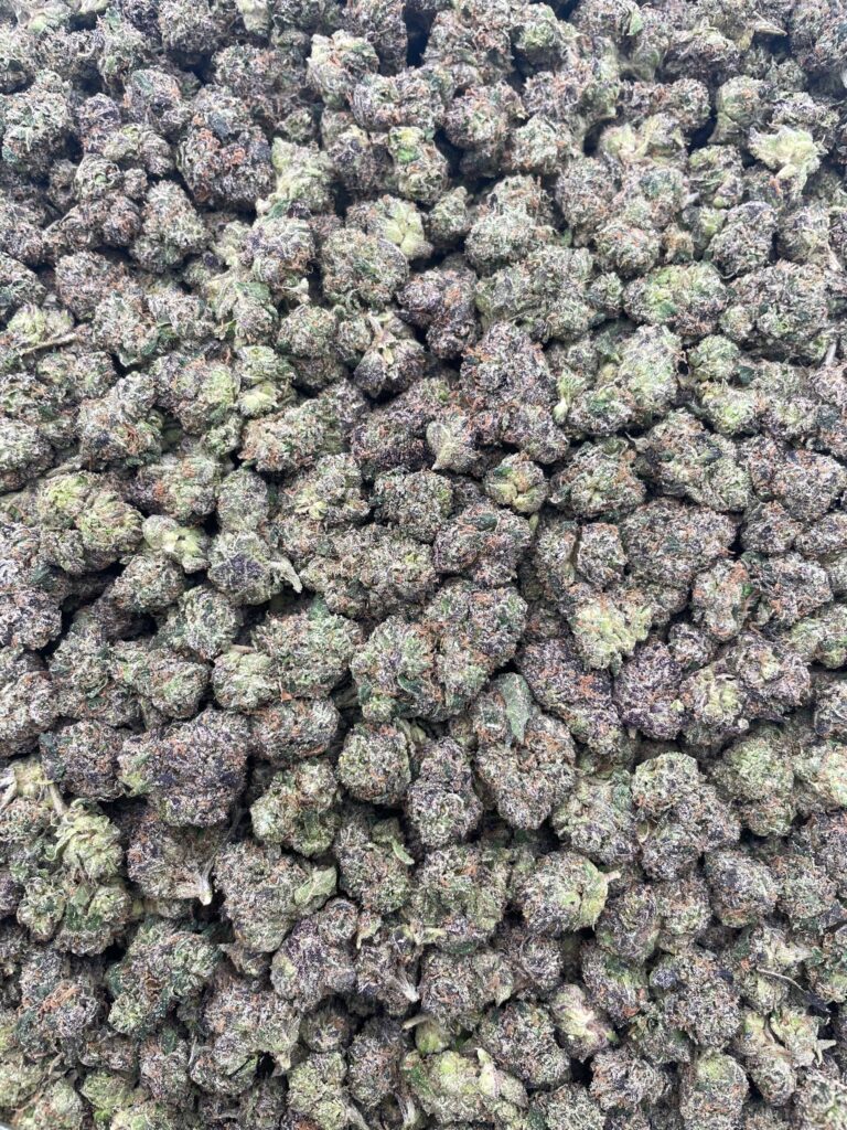 #PR57T 🍬 Wild Berry Skittles Mediums 🫐