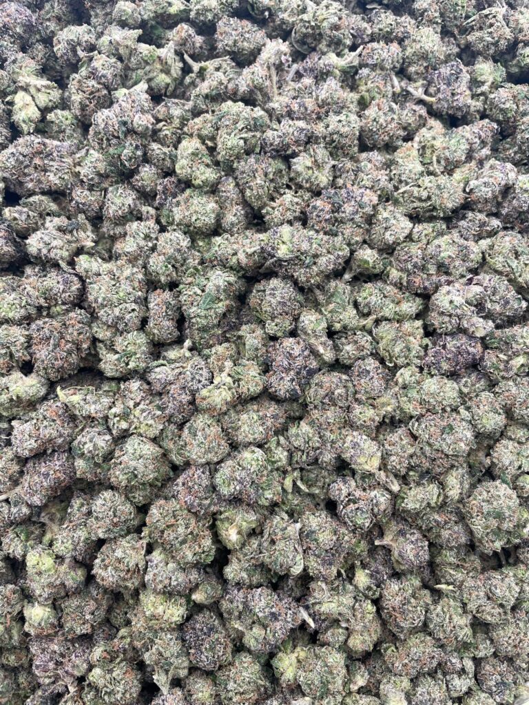 #PR58T 🍉 Very Berry Watermelon Fusions Mediums 🫐