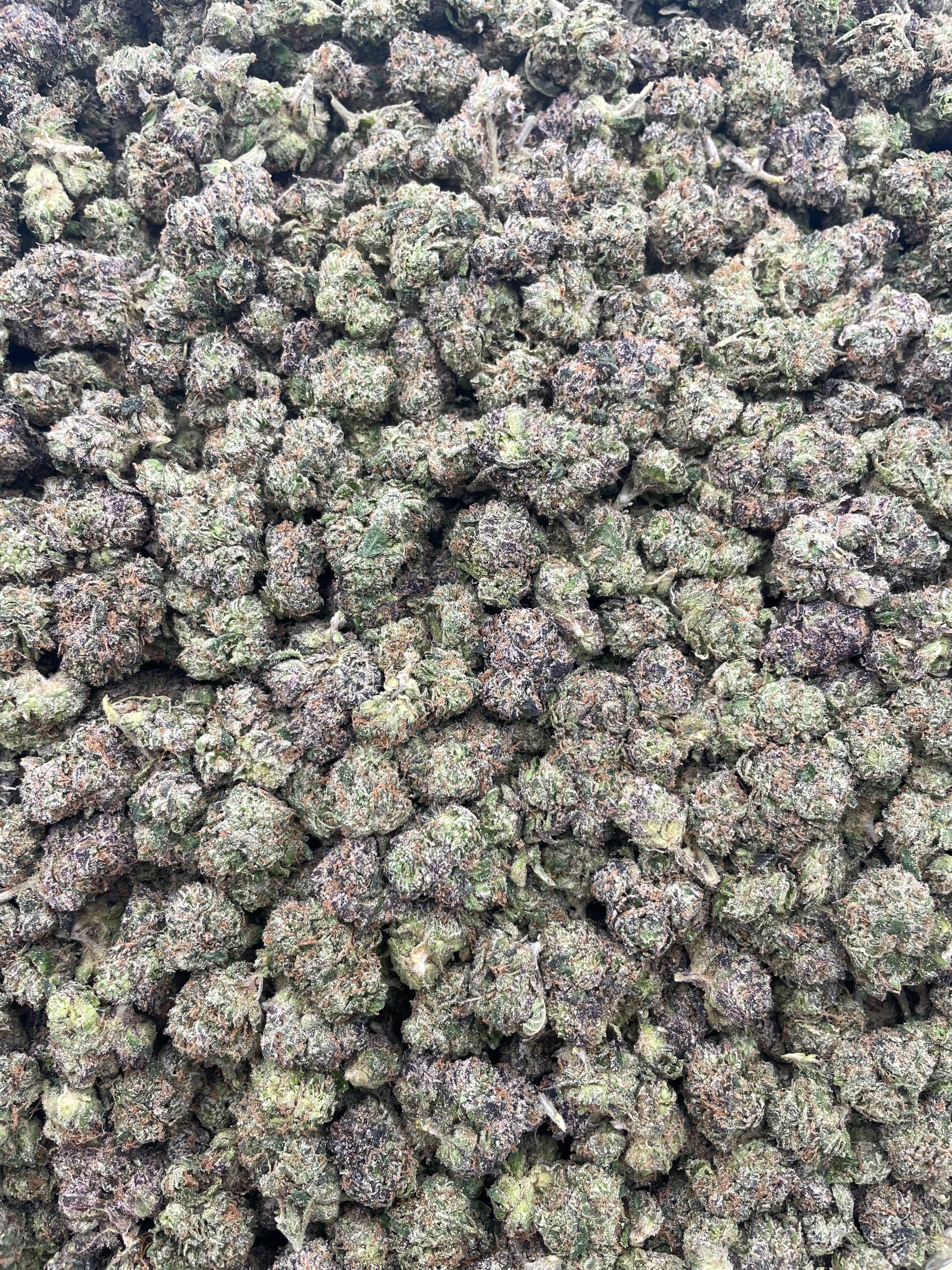 #PR58T 🍉 Very Berry Watermelon Fusions Mediums 🫐