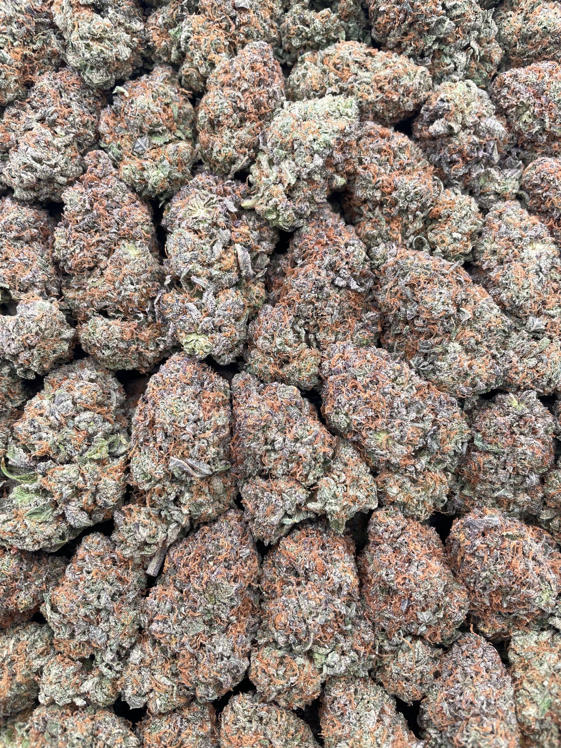 #PR63X Chupa Chups Tubes 🌈