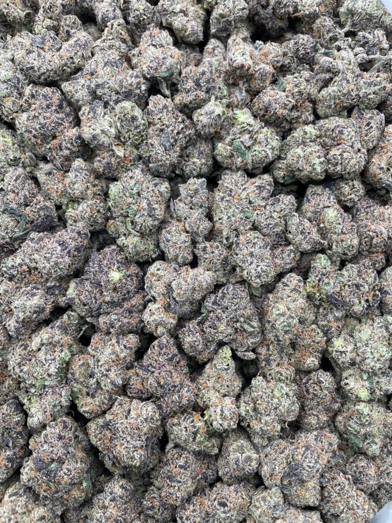 #PR64Y 🥤 Grape Koolaid 🍇