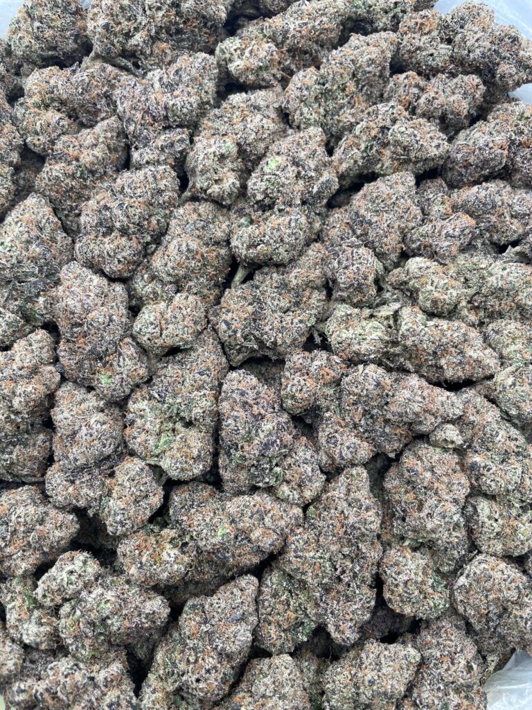 #PR74Y 🍭 Wild Berry Mix Skittles 🫐