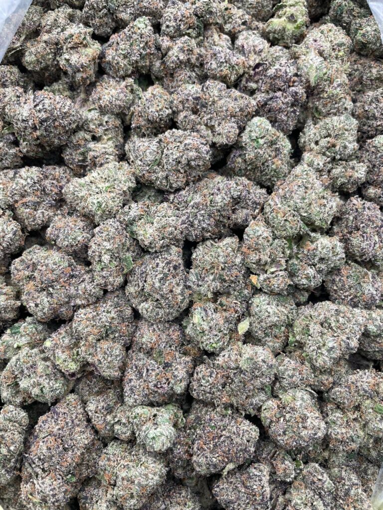 #PR77X 🍬 Strawberry Slime Lickers 🍓