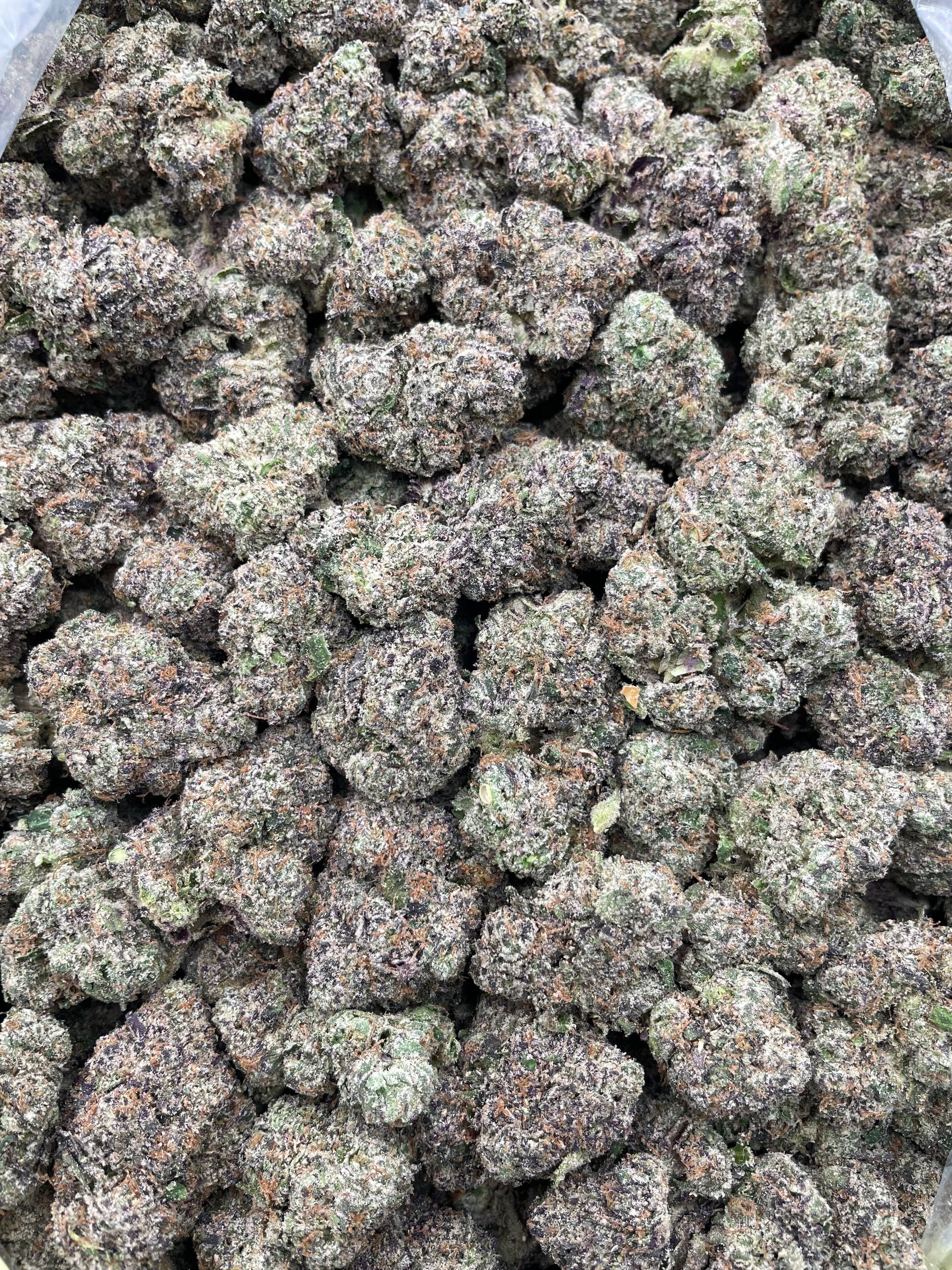 #PR77X 🍬 Strawberry Slime Lickers 🍓