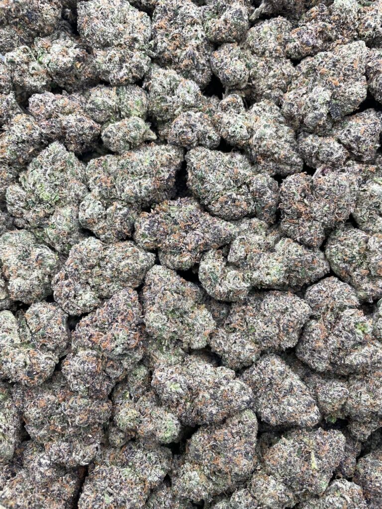#PR84T 🌌 Galactic Sour Patch 🍬