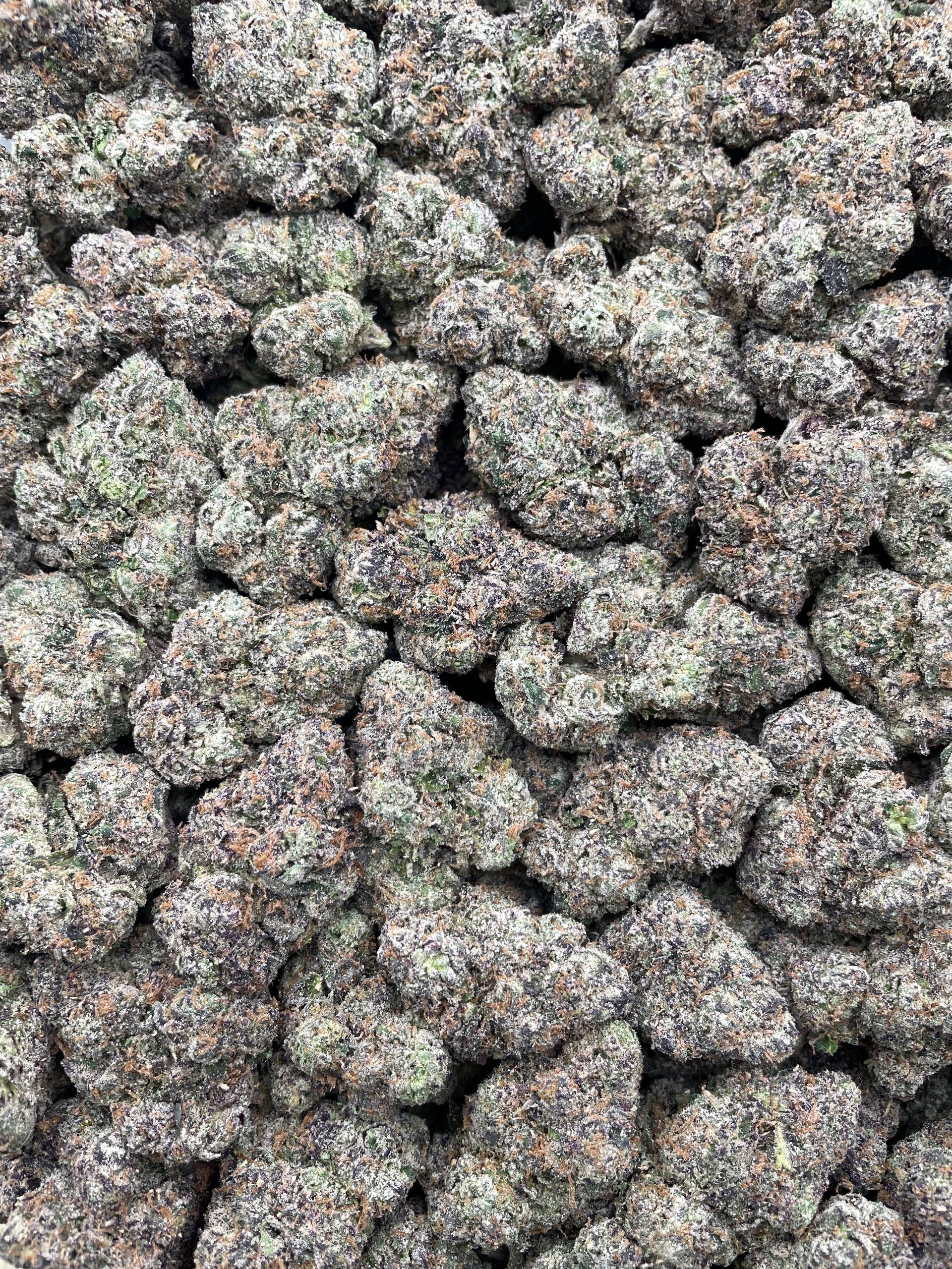 #PR84T 🌌 Galactic Sour Patch 🍬
