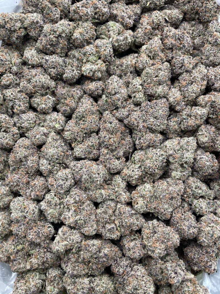 #PR86Y 🏝️ Gumdrop Mirage 🍬