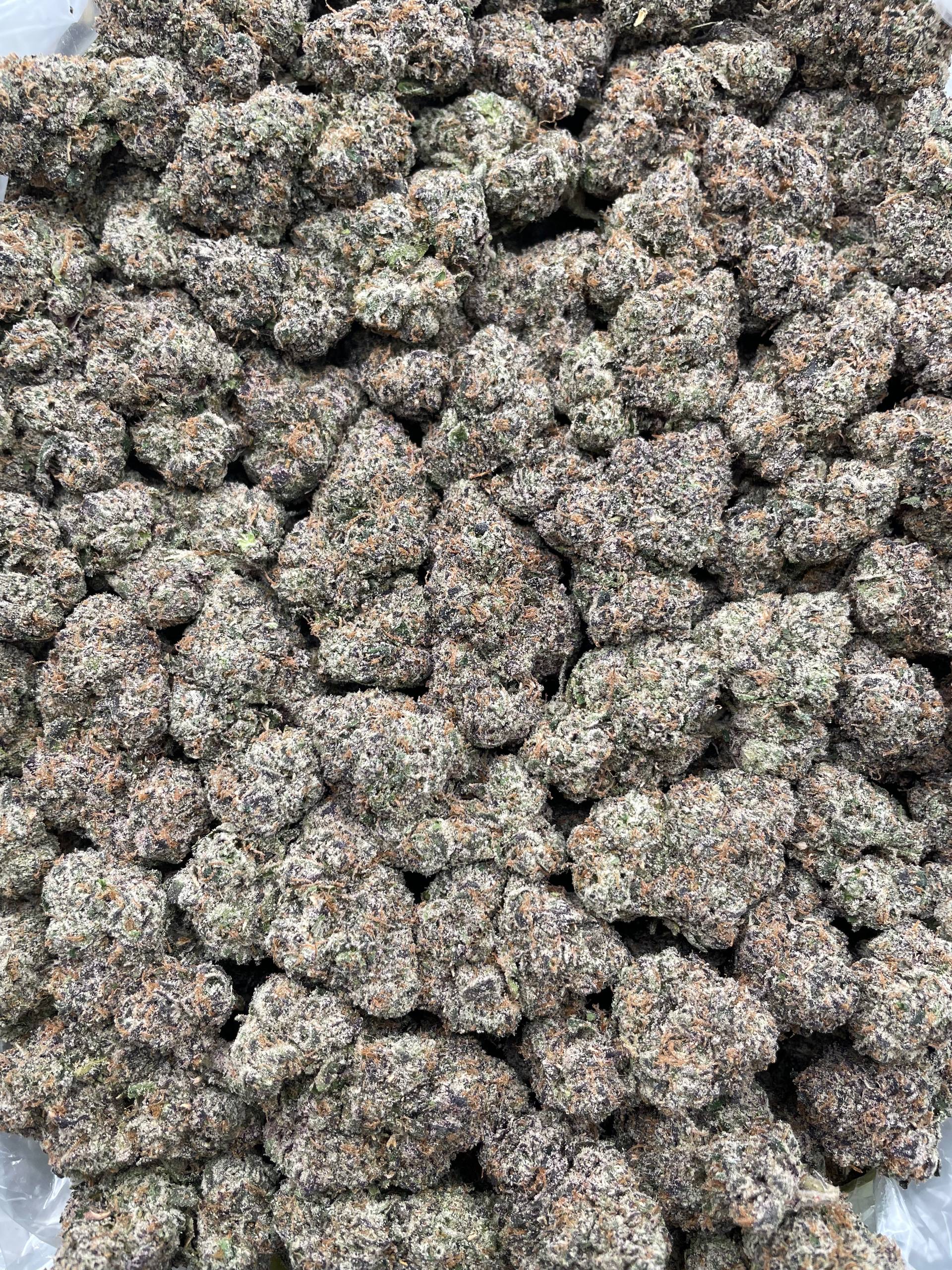 #PR86Y 🏝️ Gumdrop Mirage 🍬