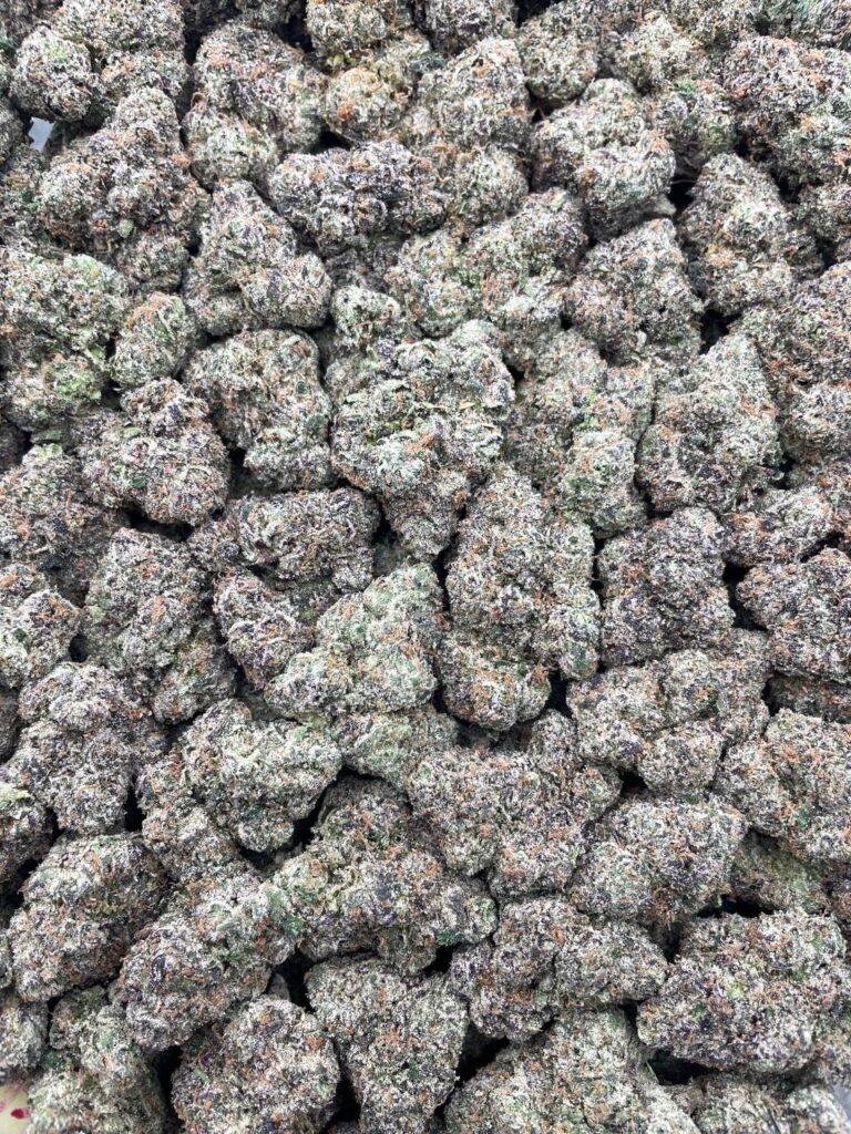 #PR88Y ⚡️ Tart Cherry Thunder 🍒