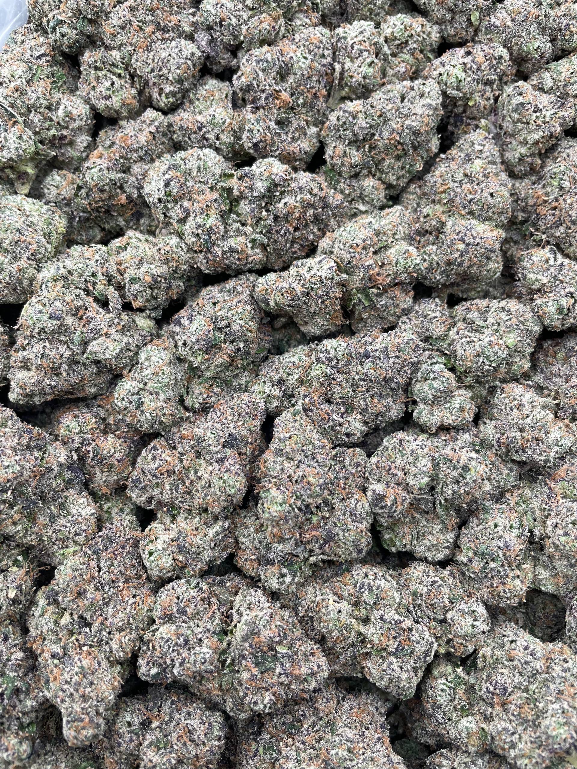 #PR92Y 🍬 Bazooka Rattlerz 🚀