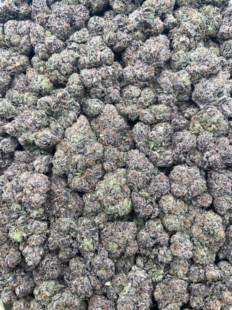 #PR94Y 🌶️ Souracha 🍬