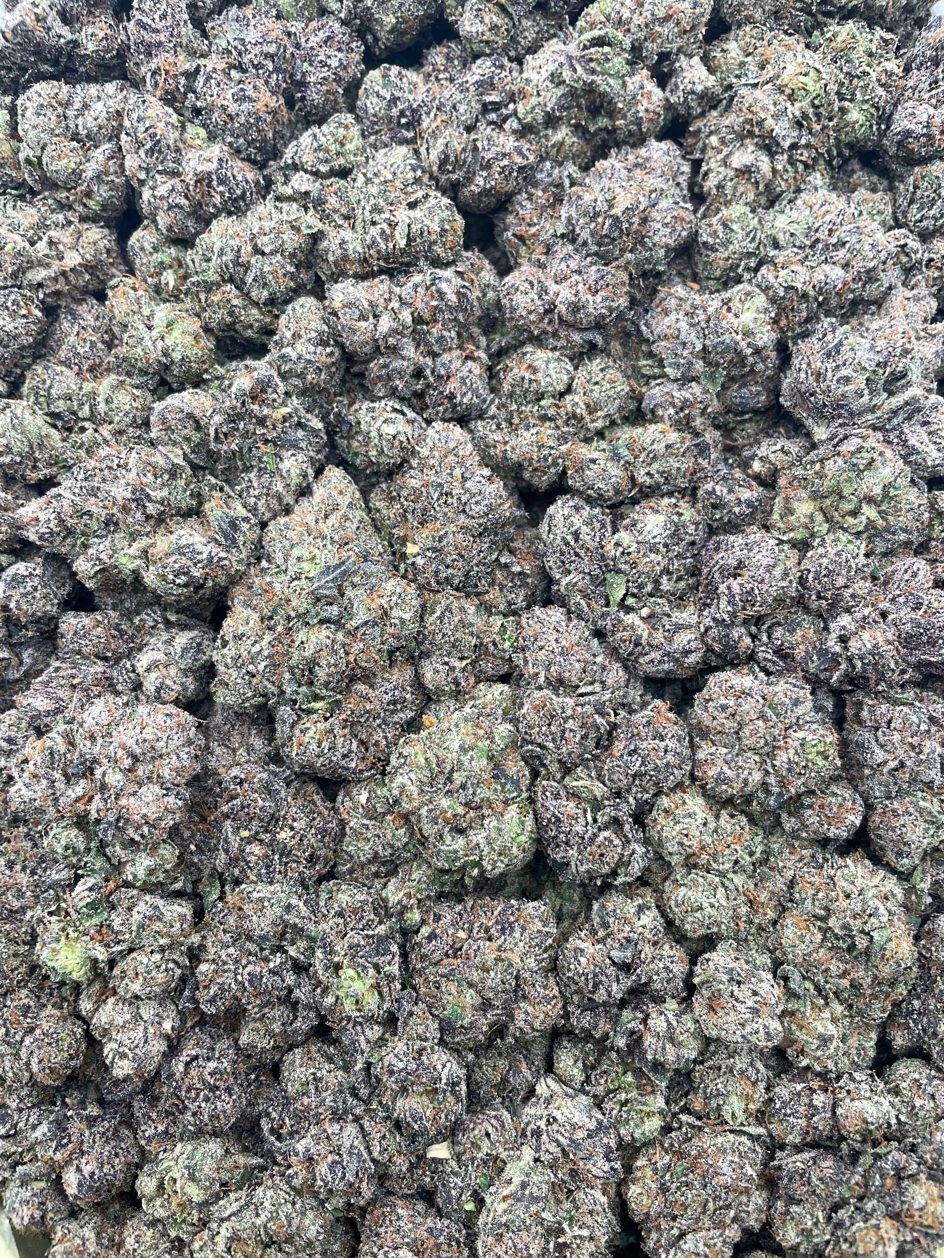 #PR94Y 🌶️ Souracha 🍬