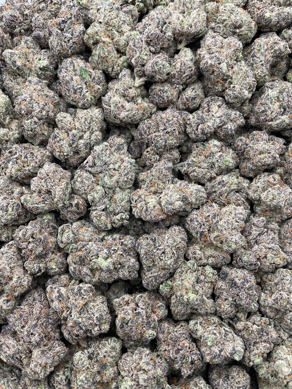 #PR95Y 🍬 Sour Candy Nitro ⛽️