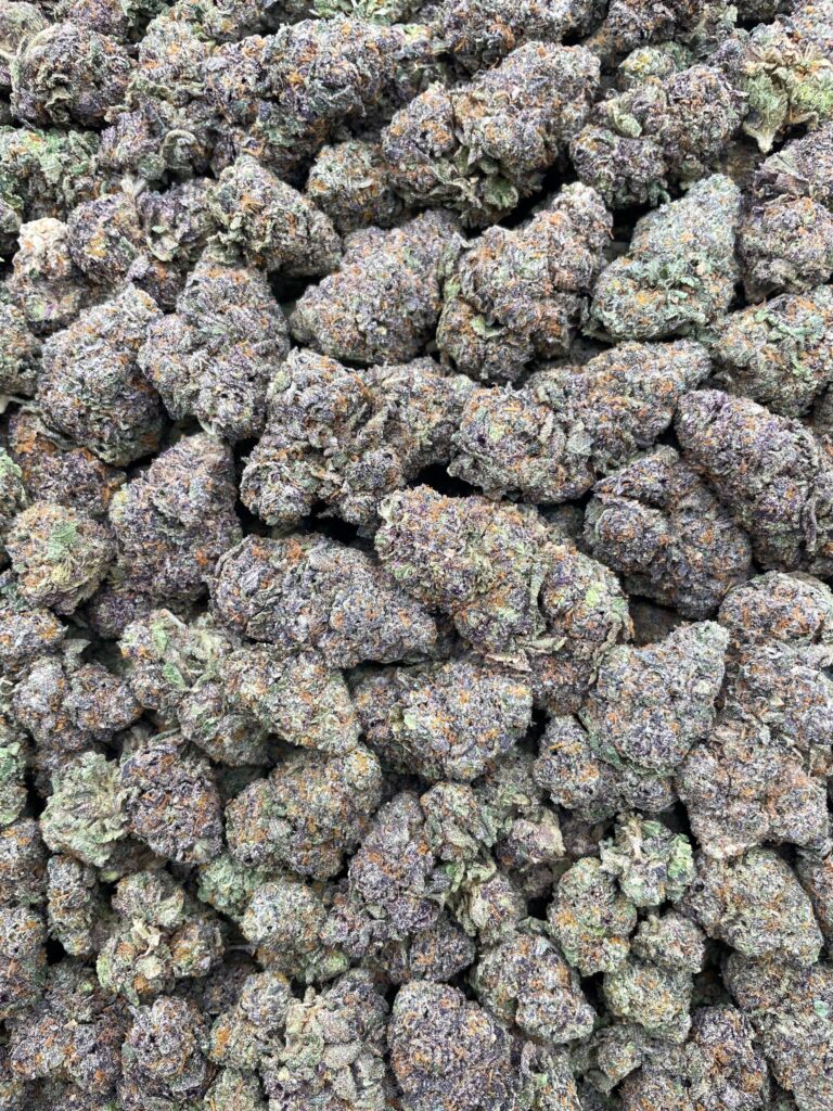 #PE10C ⛽️ Galactic Runtz 🌌