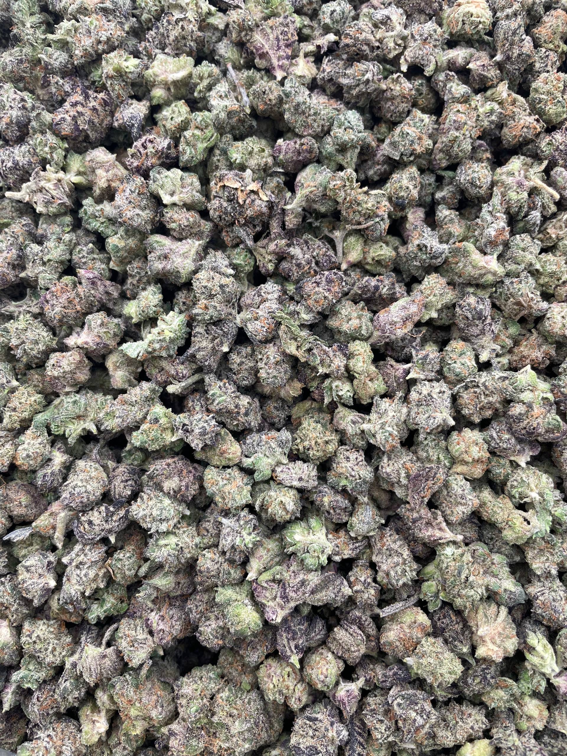 #PE13C 🍬 Lemon Sweet Tarts Smalls 🍋