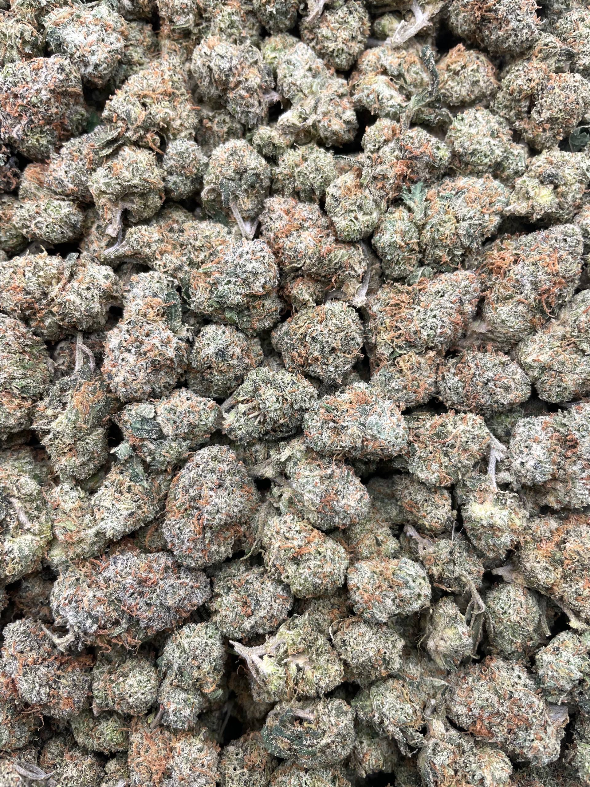#PE22C 🍬 Rainbow Mochi Mediums 🌈