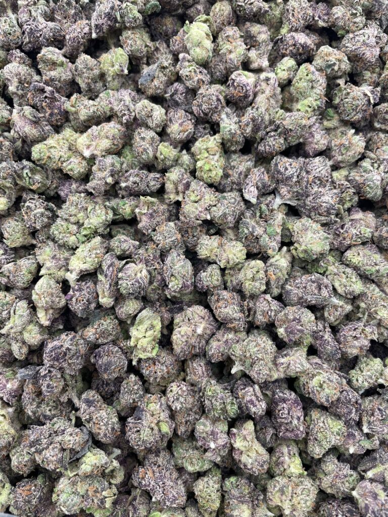 #PE28A ☁️ Candy Cloudz Smalls 🍬