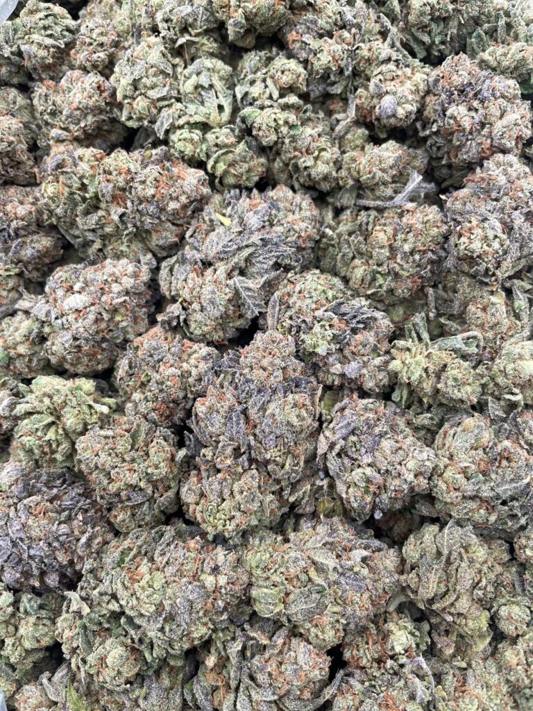 #PE34C 😋 Gumbolicious 🍬