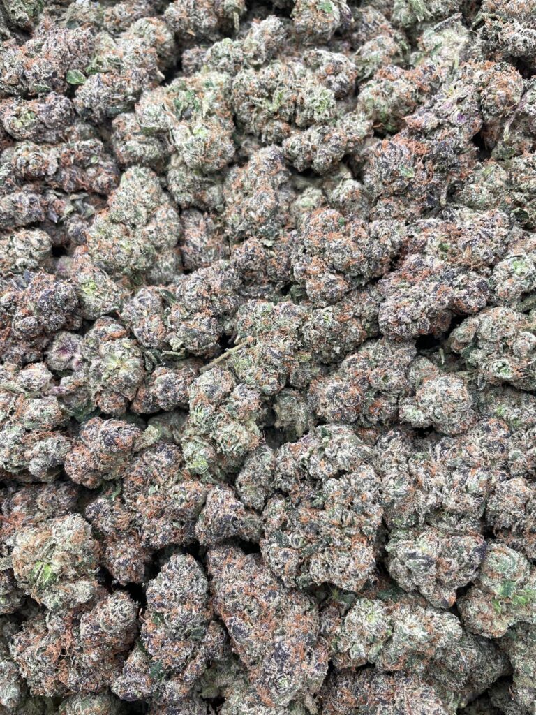 #PE40A 🤯 Lemon Warheads 🍋