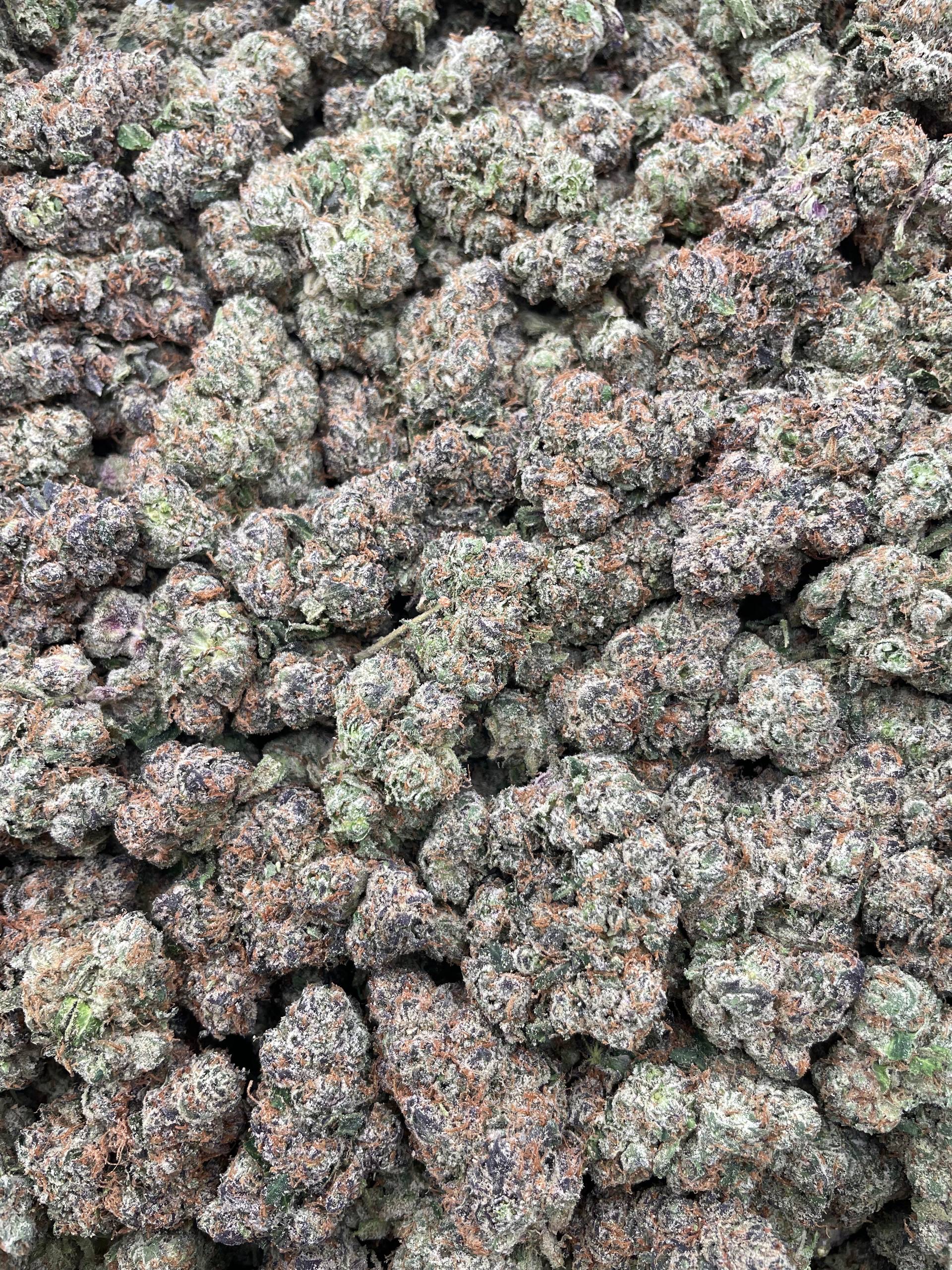 #PE40A ๐คฏ Lemon Warheads ๐