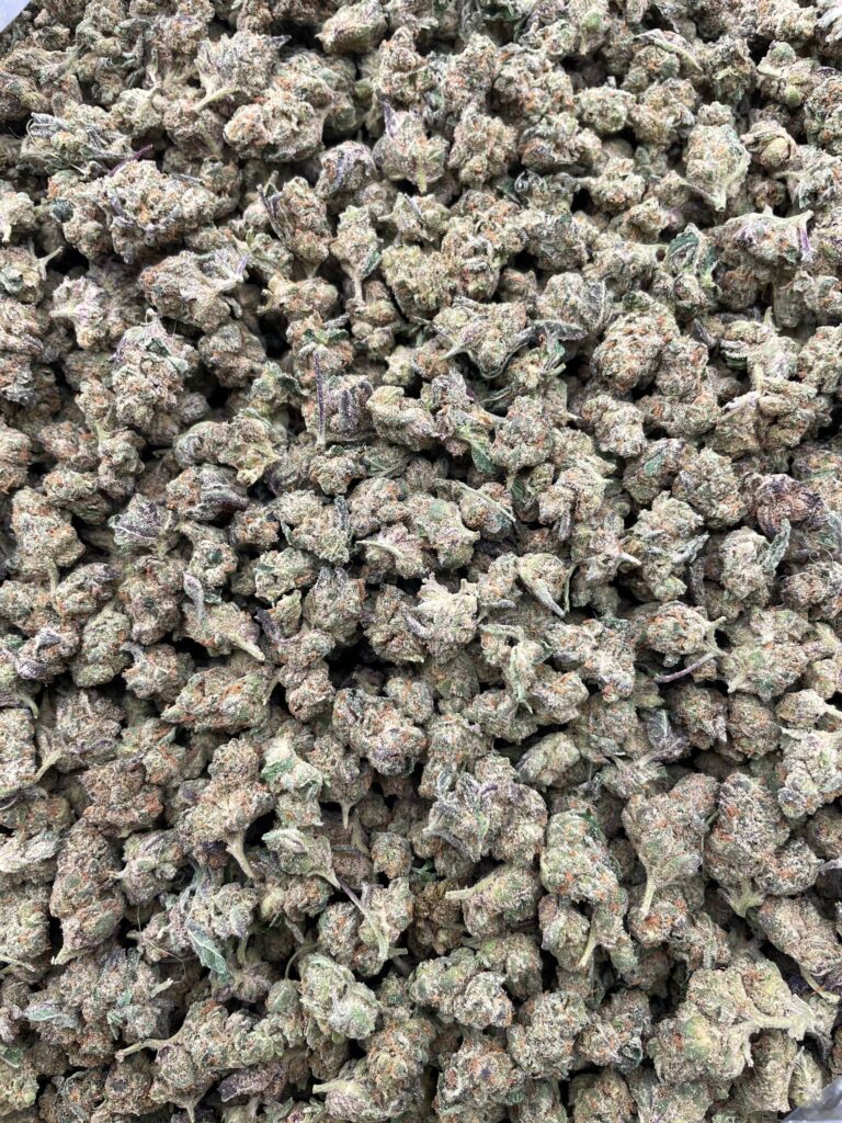 #PE6C 🍨 Milky Minis Smalls 🥛