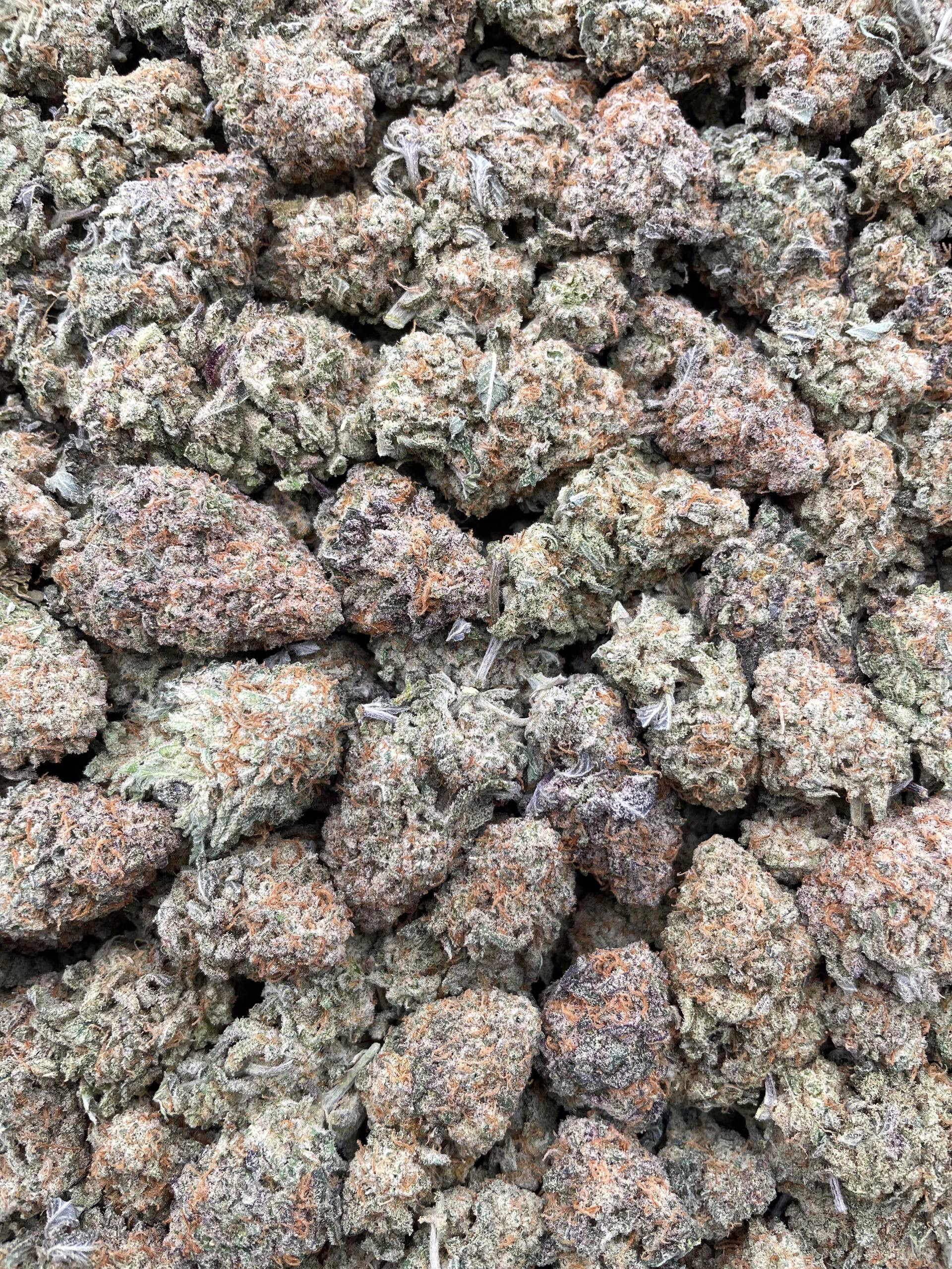 #PF1C 🍪 Mac Wookiez 👽