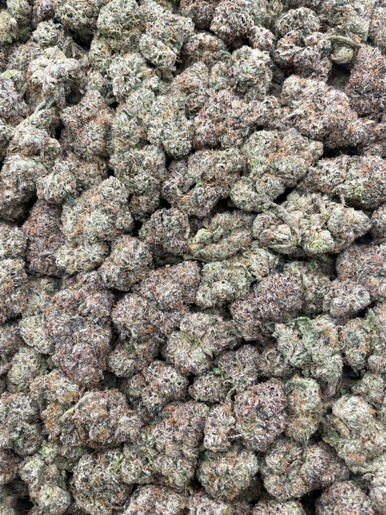 #PF28A 🍬 Watermelon Bubblegum 🍉