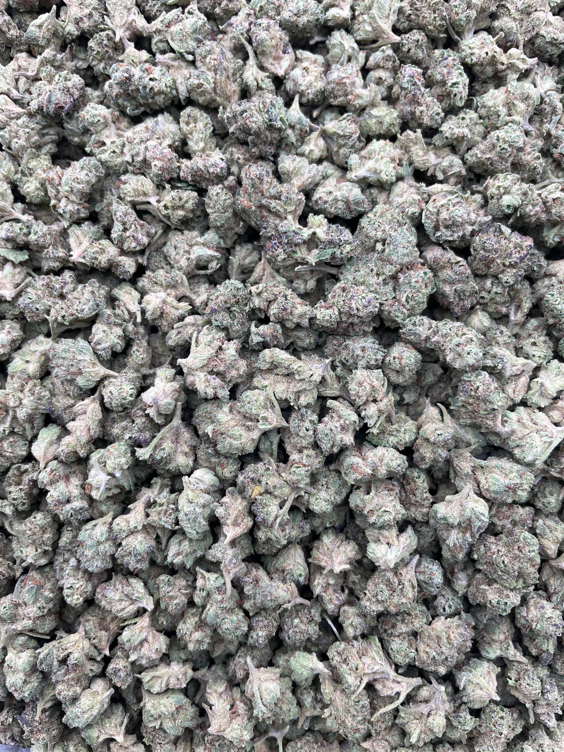 #PF34B 👊 Papaya Punch Smalls 🍐
