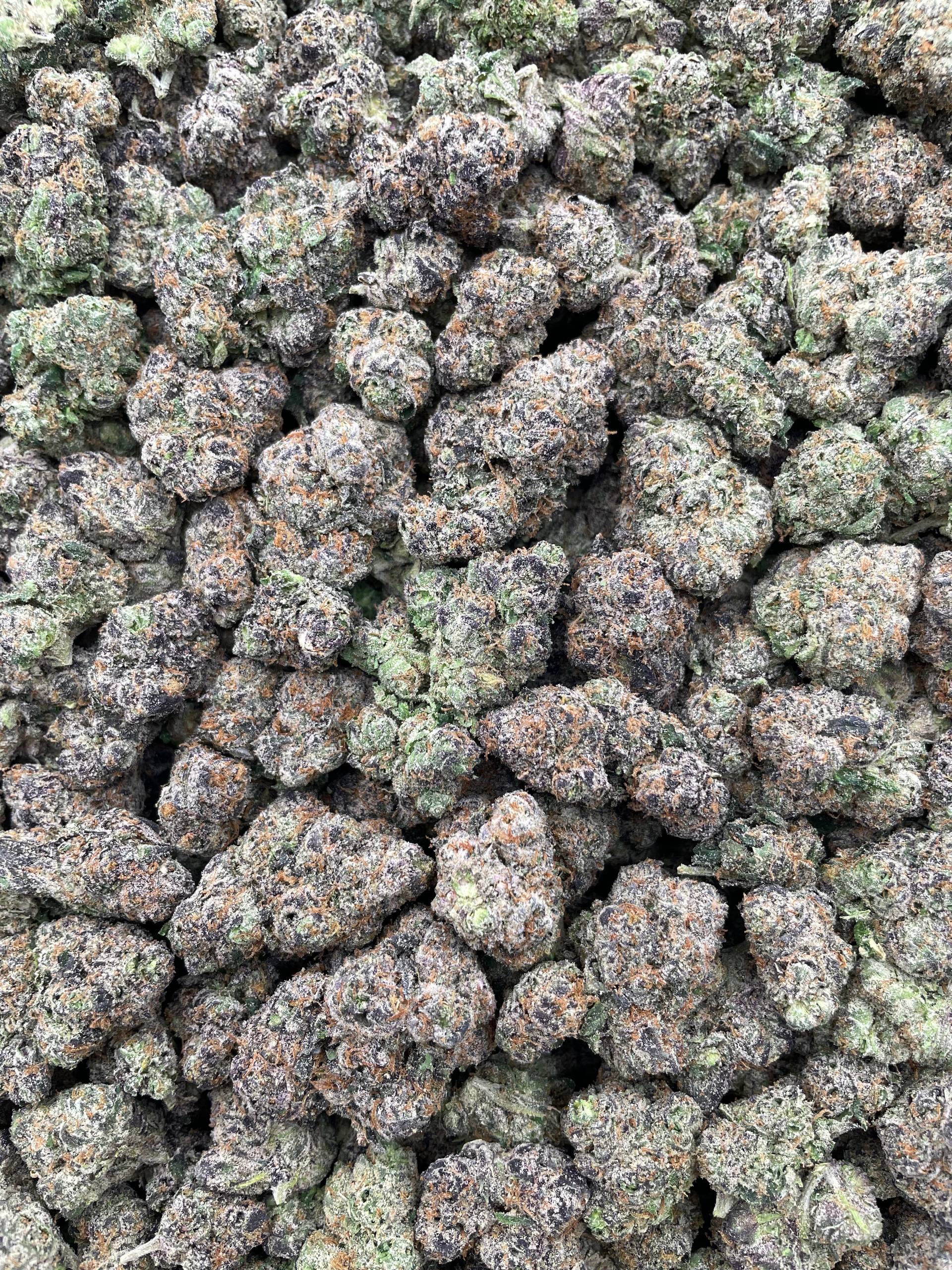 #PF36C ๐ฌ Candy Kush ๐จ