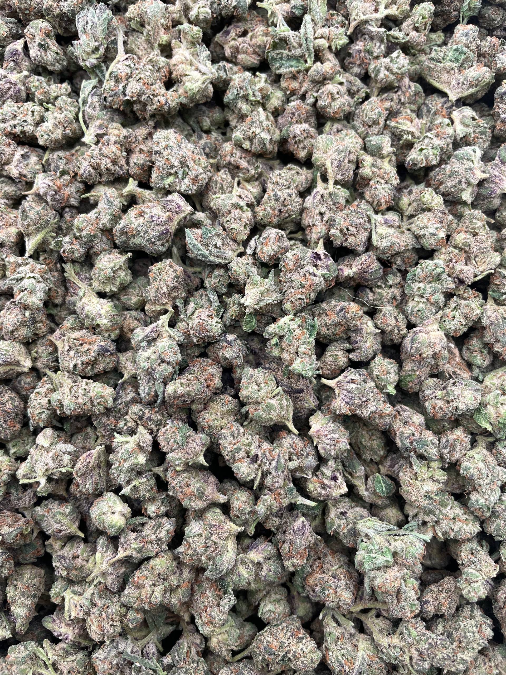 #PF38B ⛽️ Zookies Smalls 🍨