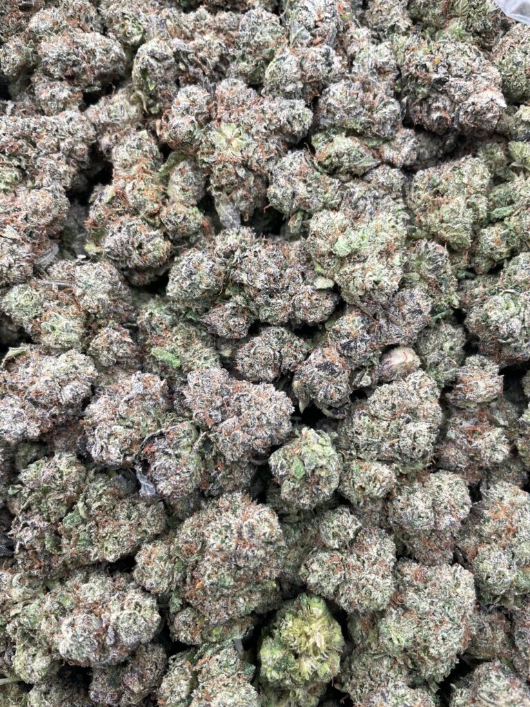 #PF3A 🍒 Magic Cherries 🍭