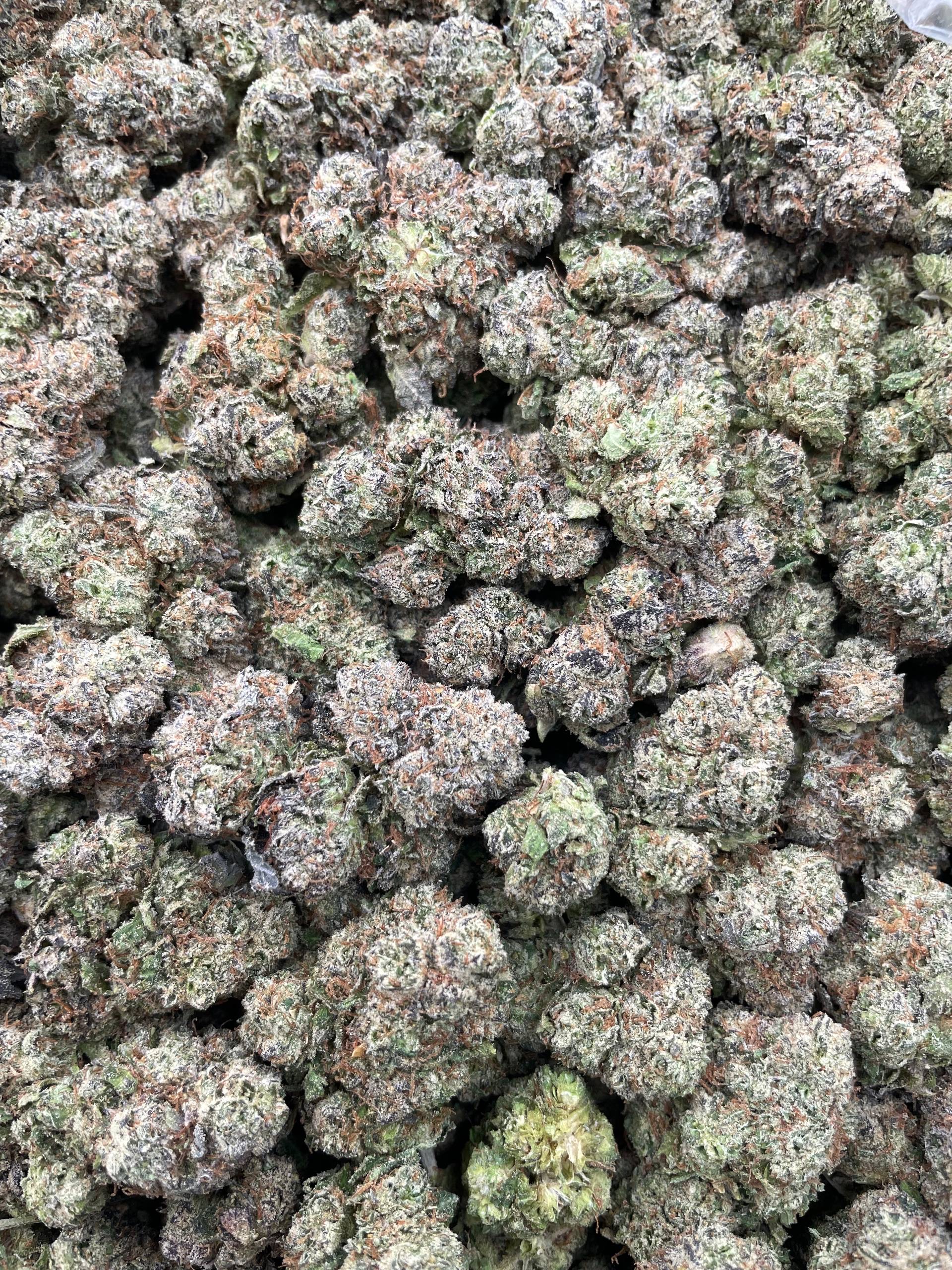 #PF3A 🍒 Magic Cherries 🍭