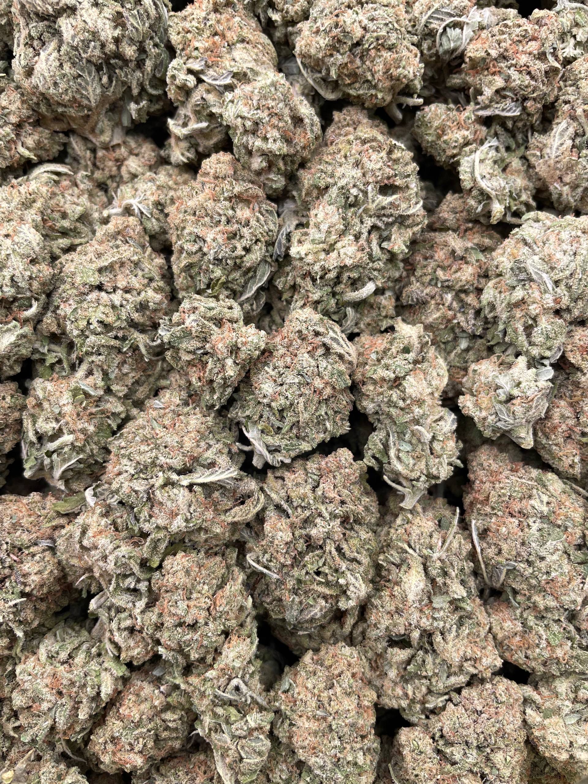 #PG10C 💥 Mac Attack ⛽️