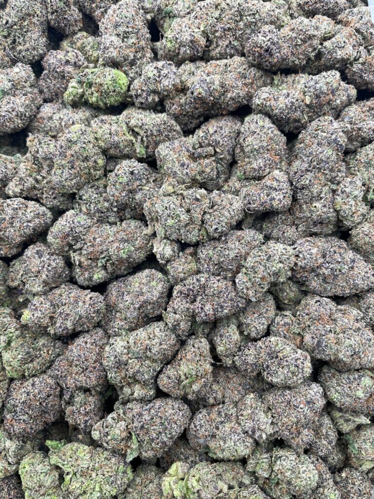 #PG16B 🍭 Lemon Sour Gunk 🍋