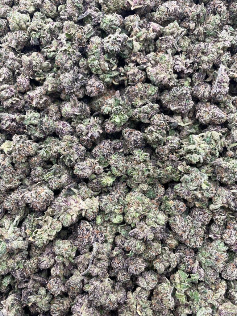 #PG20B 🍬 Sour Bursting Crawlers Smalls 💥