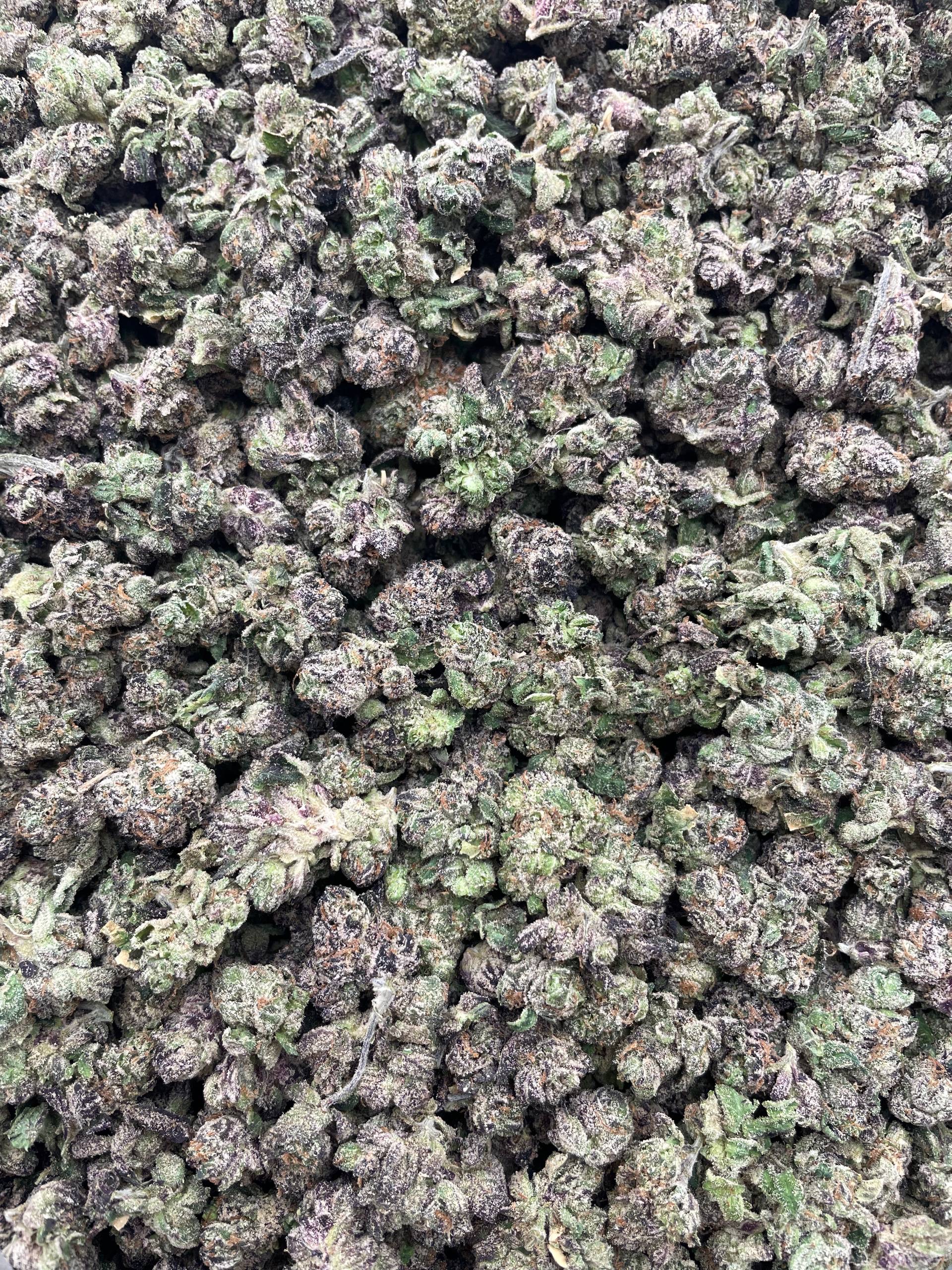 #PG20B 🍬 Sour Bursting Crawlers Smalls 💥