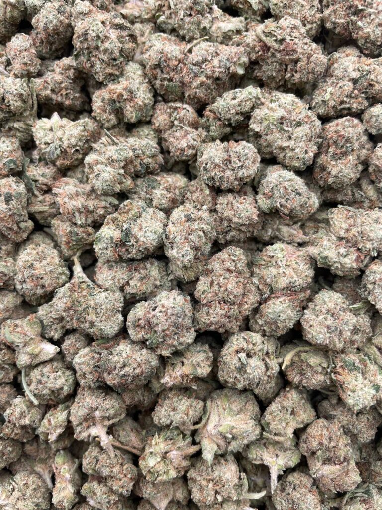 #PG25B 🍨 Alaskan Thunder Fuck Shmediums 🍎