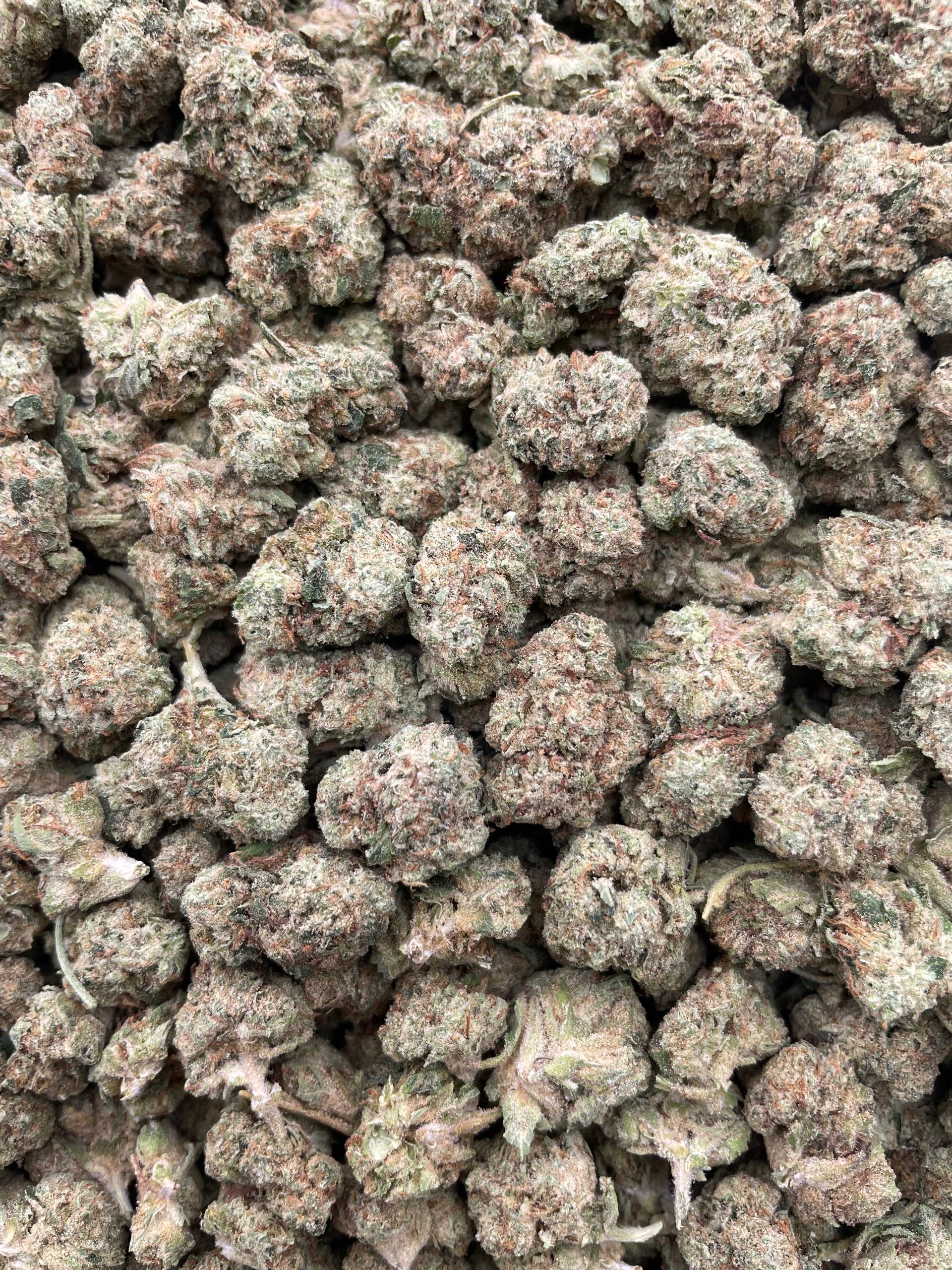 #PG25B 🍨 Alaskan Thunder Fuck Shmediums 🍎