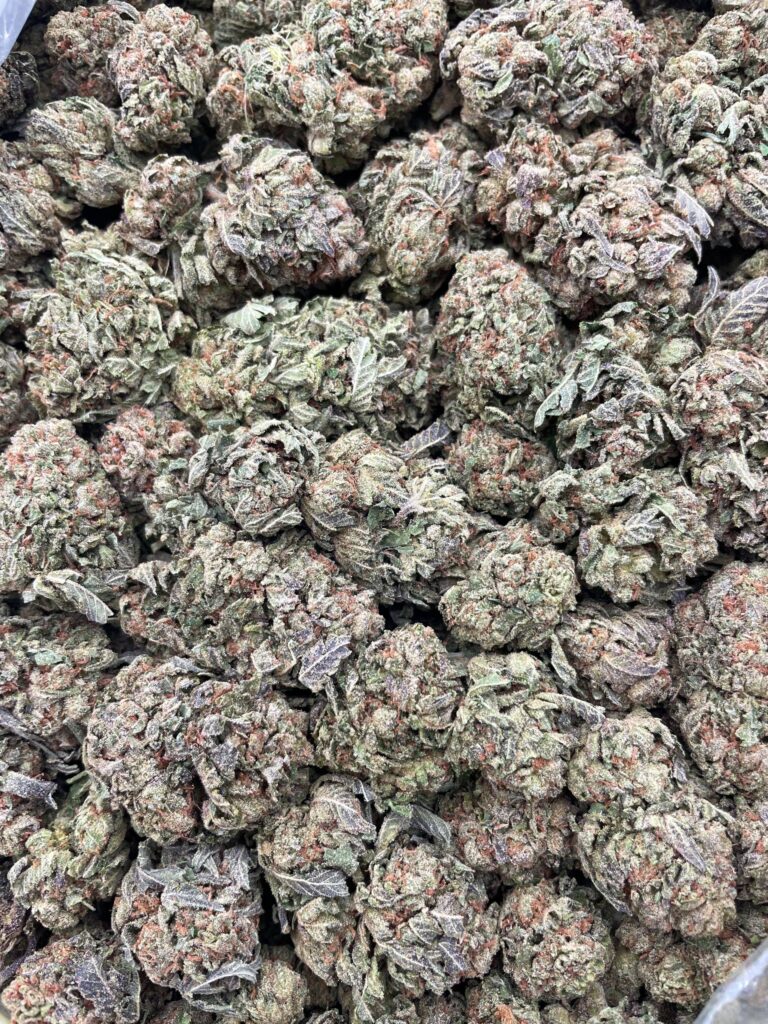 #PG26C 🍒 Lemon Cherry Blizzard 🌧️