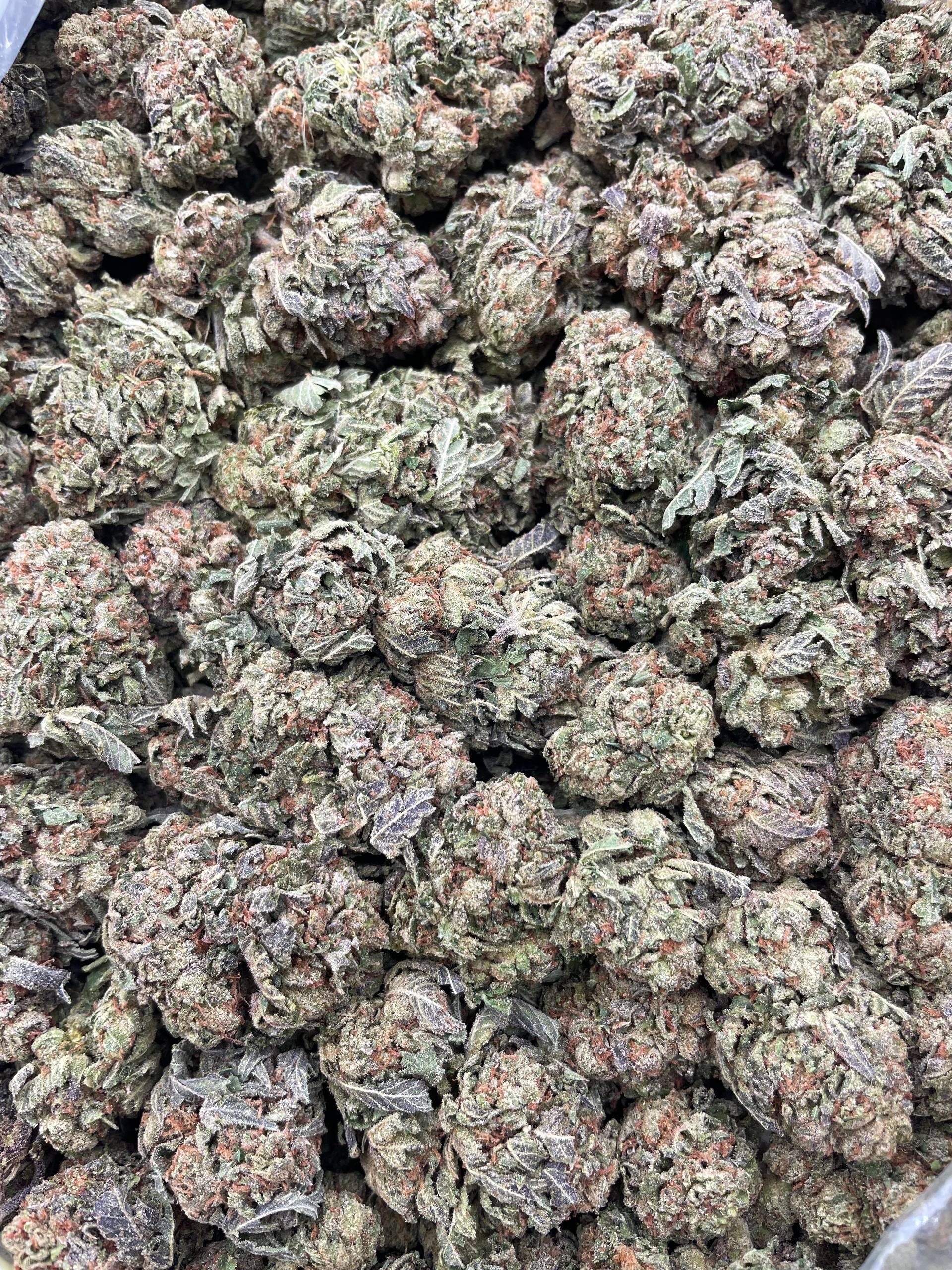 #PG26C 🍒 Lemon Cherry Blizzard 🌧️