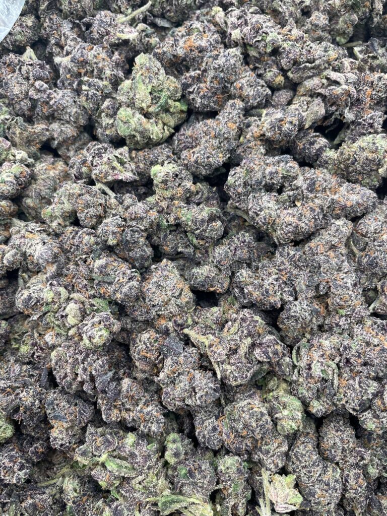 #PG32A 🍨 Greasy Runtz ⛽️