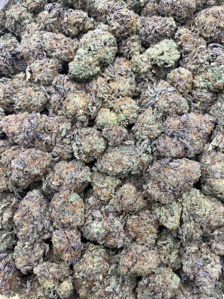 #PG36B 🤖 Gumbotronics ⛽️