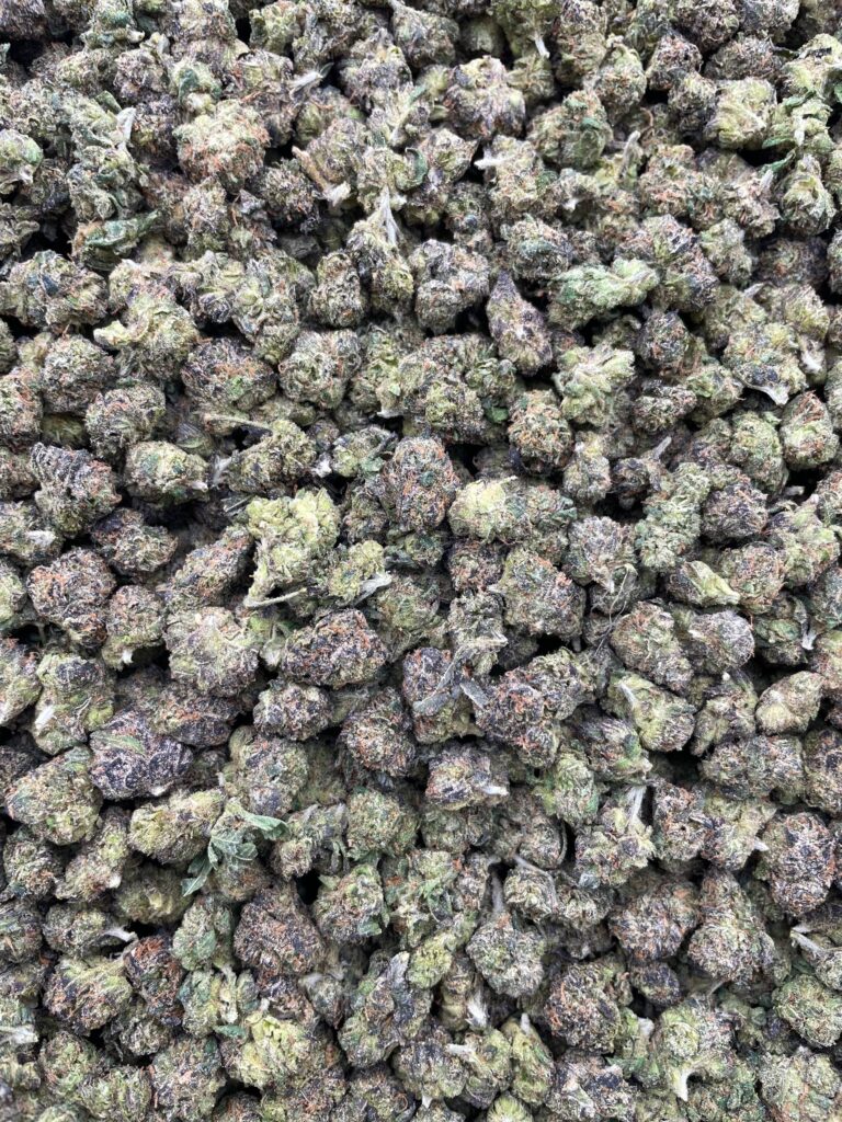 #PG37C 🍒 Cherry Popperz Smalls 💥